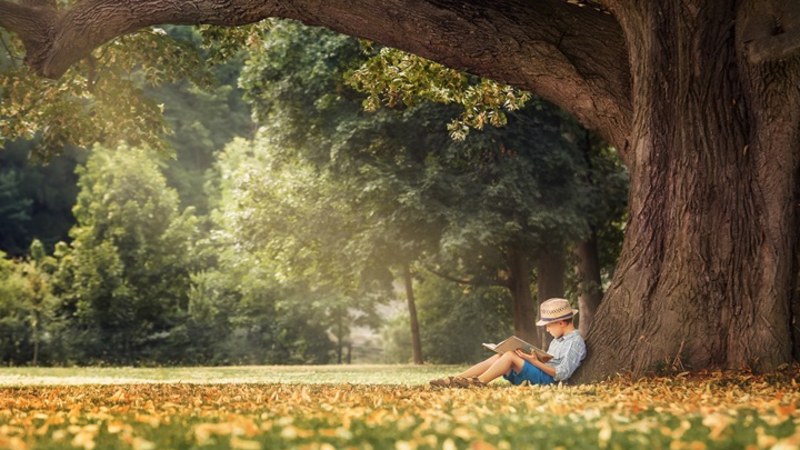 債權人取得執行名義後，如何對債務人的保單進行強制執行？
