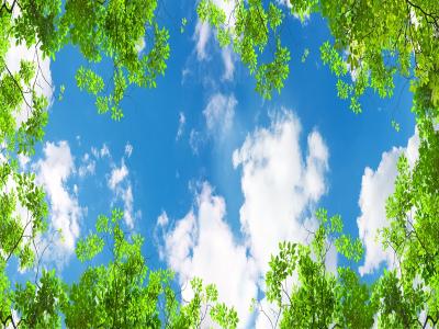 網路上公審別人可能涉及之法律責任
